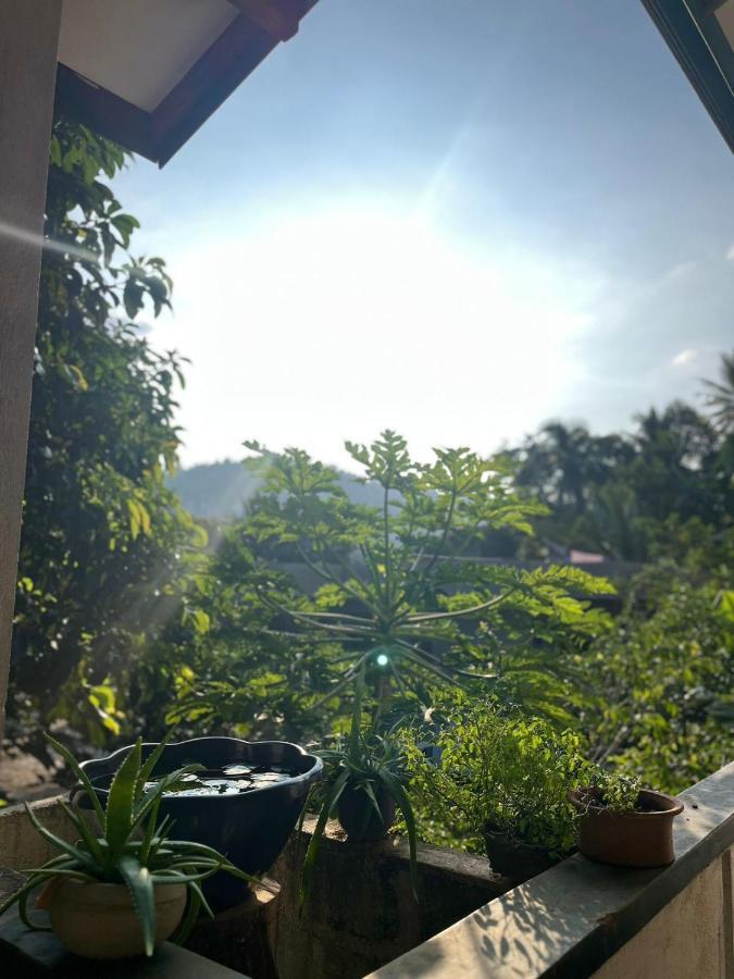 Rustic Mahaweli Lägenhet Kandy Exteriör bild