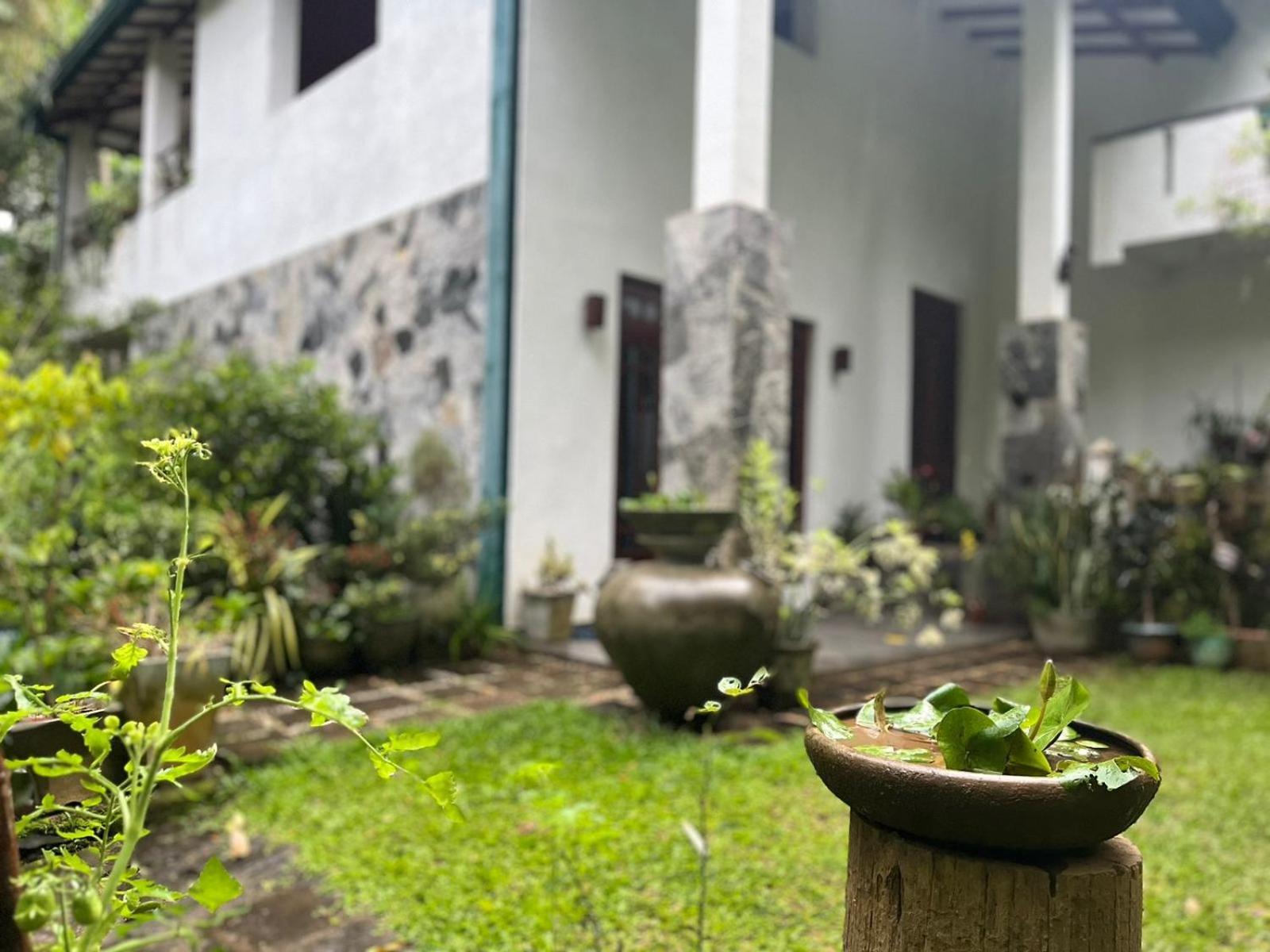 Rustic Mahaweli Lägenhet Kandy Exteriör bild